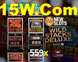 559x App Interface